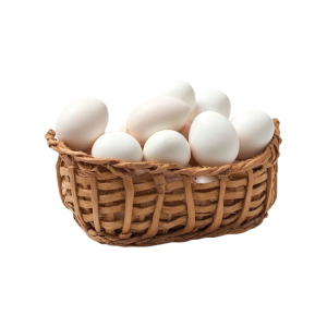 Home ফাউমি মুরগির ডিম – প্রিমিয়াম খাঁটি ও টাটকা ডিম